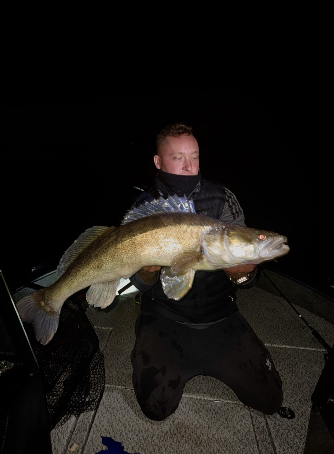Zander bei Nacht