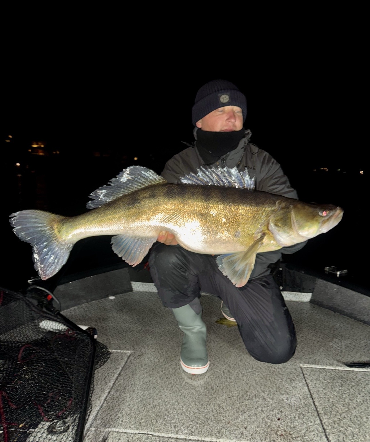 Zander im Dunkeln